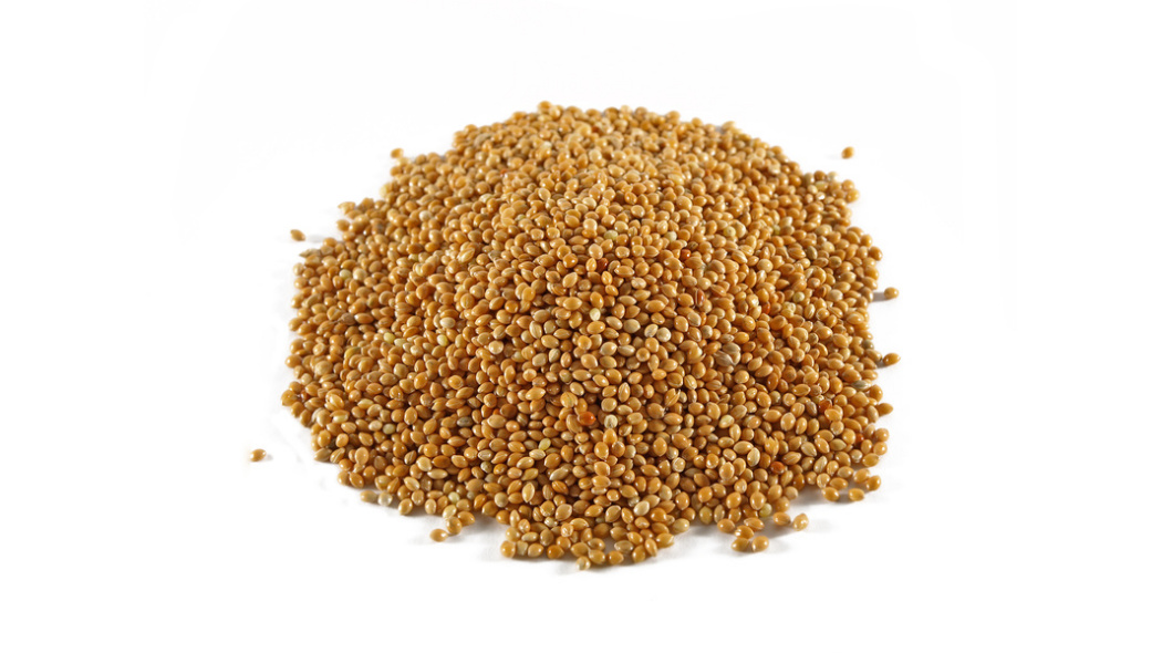 grain（The grains of cereal crops.）_Baiduwiki