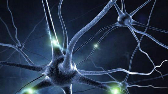 optogenetics（A discipline that combines genetic engineering and light ...