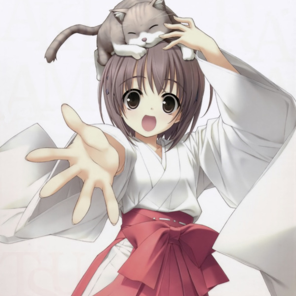 桥本タカシ_百度百科