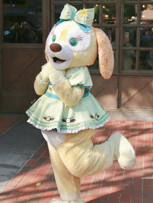 CookieAnn（An original doll character created by The Walt Disney Company ...
