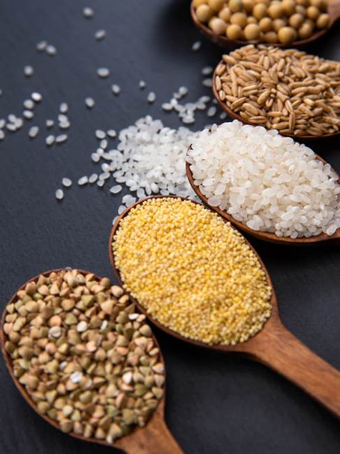 Coarse grains（Several major categories of food crops and their ...