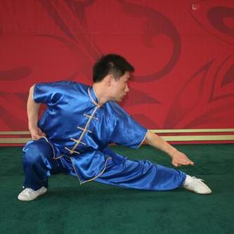 洪拳（湛江洪拳）_百度百科