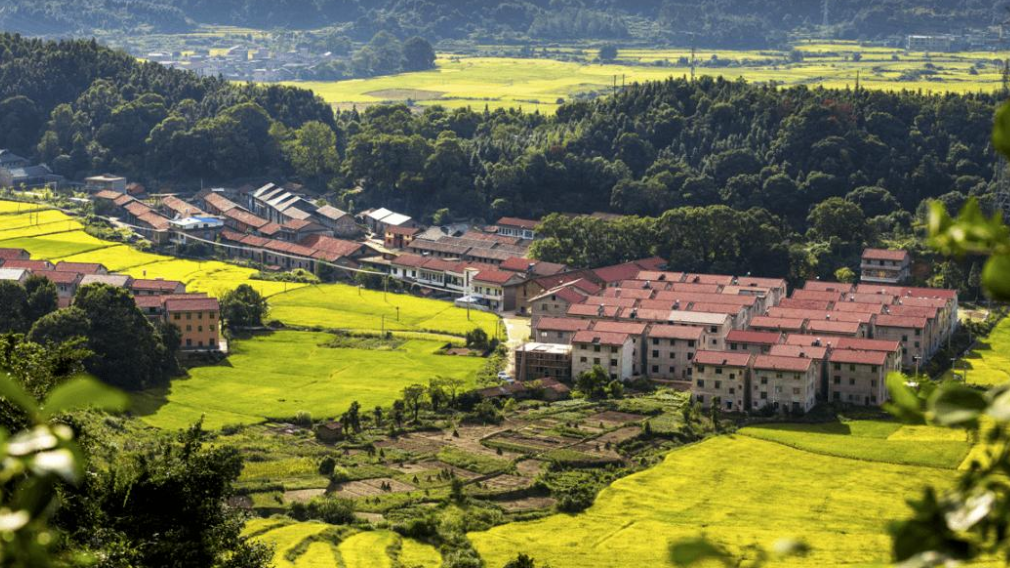 Xinmin Township_Baiduwiki