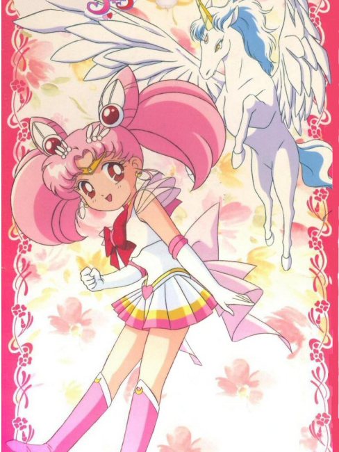 Chibiusa（A character from the Japanese manga *Sailor Moon* and its ...