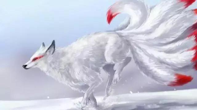 九尾の白狐_百度百科
