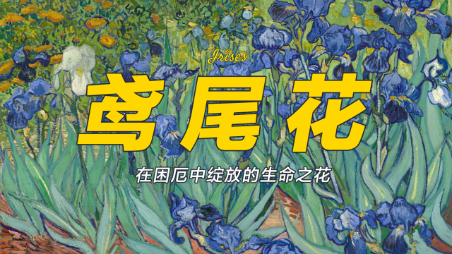 アイリス（フィンセント・ファン・ゴッホの油絵作品）_百度百科