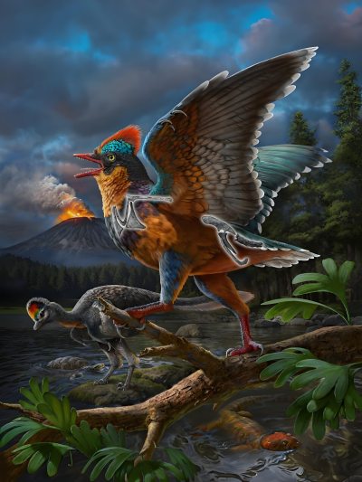 Baminornis zhenghensis（ジュラ紀鳥類、世界最古の鳥類）_百度百科