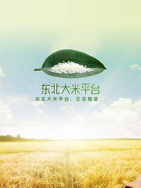 Northeast Rice Platform_Baiduwiki