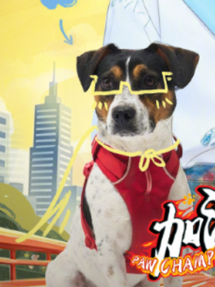 ハチ（バラエティ番組『がんばれ！ワンワン』の子犬のゲスト）_百度百科