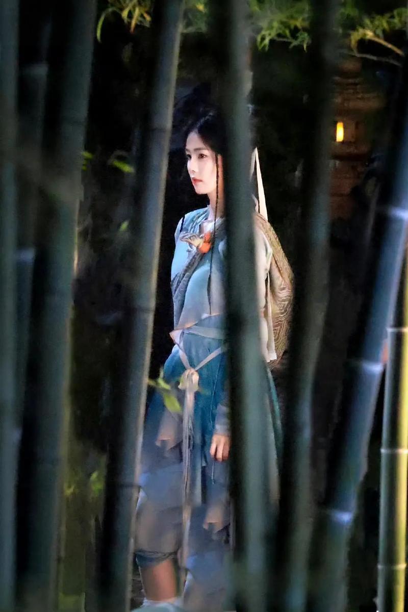 Li Qingyue（the female lead in the TV drama *Lin Jiang Xian*）_Baiduwiki