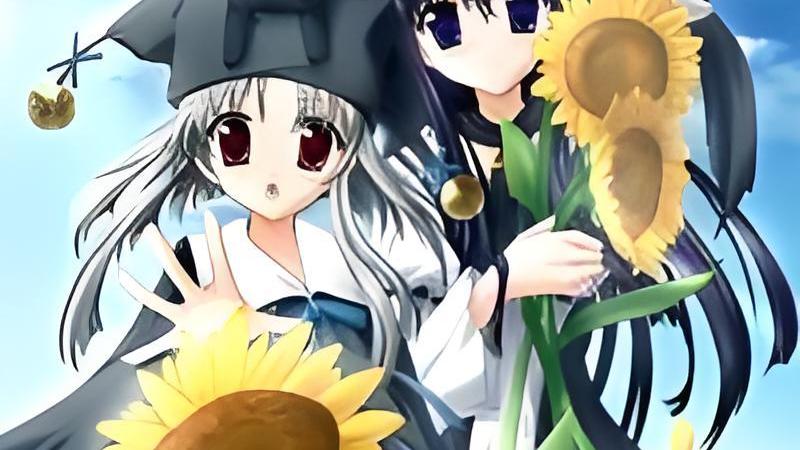 水夏_百度百科