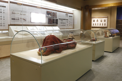 新疆ウイグル自治区博物館_百度百科
