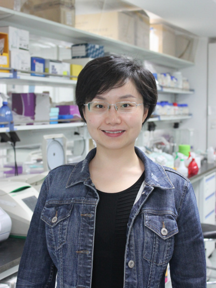Chen Lingling（Professor, Research Group Leader, and Doctoral Supervisor ...