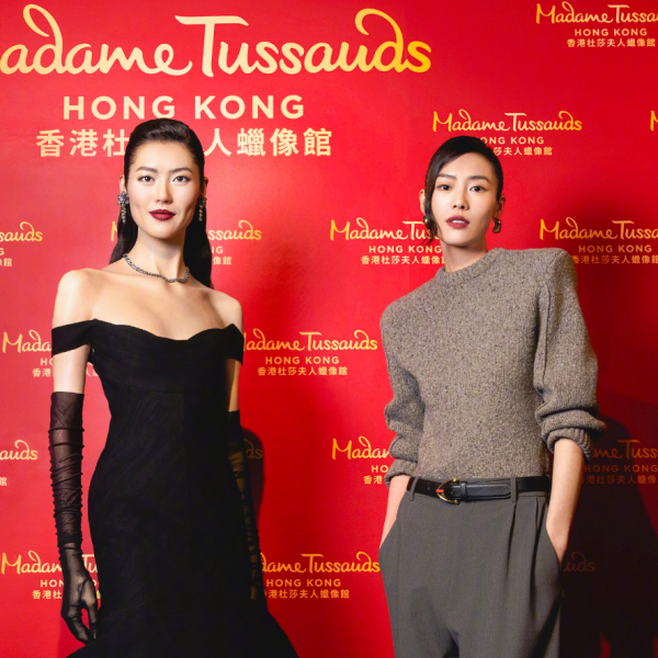 Liu Wen（中国本土のモデル）_百度百科