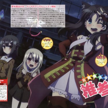 Fate/kaleid liner プリズマ☆イリヤ（SILVER LINK.によるテレビアニメ