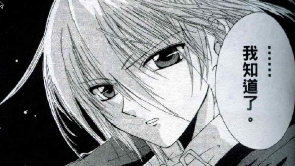 The Record of a Fallen Vampire_Baiduwiki