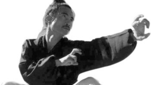 洪拳_百度百科