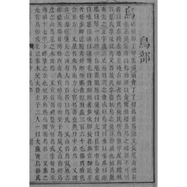 極楽鳥　4版　黒枠　FBB　中国語　繁体字　１枚 Amazon.co.jp: 極楽鳥 全種 世界でいちばん美しい鳥 : ティム