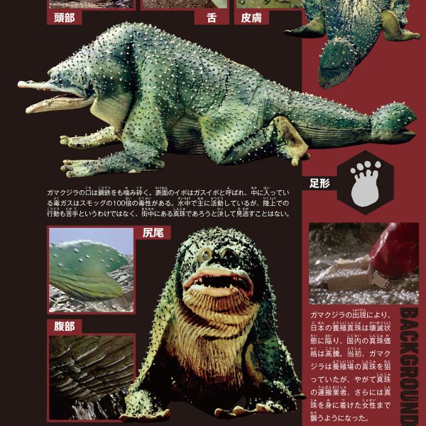 ガマクジラ_百度百科