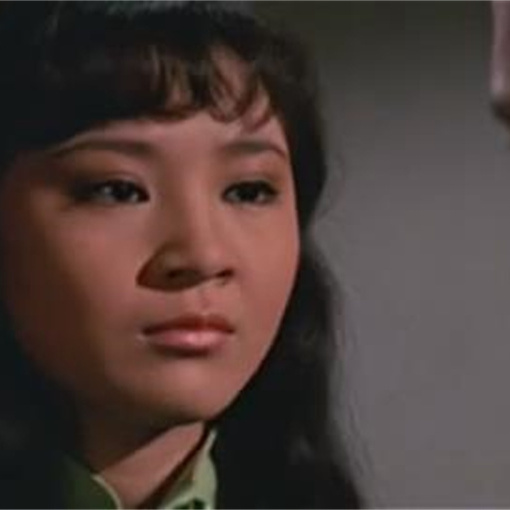 Vengeance!（A 1970 film directed by Zhang Che.）_Baiduwiki