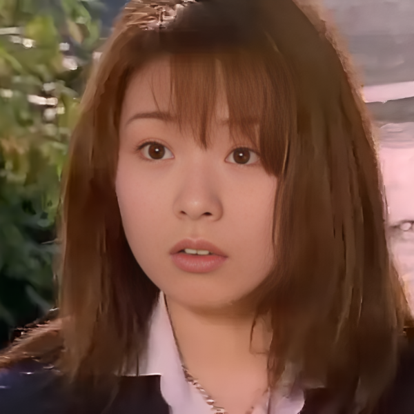 電磁戦隊メガレンジャー（1997年の日本で大柴邦彦が主演したテレビ
