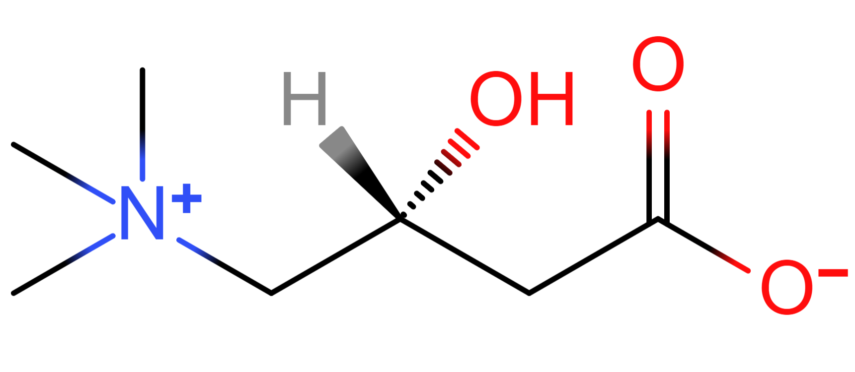 what l carnitine good for L-Carnitine