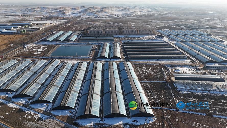 Shenshawo Modern Facility Organic Vegetable Base in Daman Town, Ganzhou ...