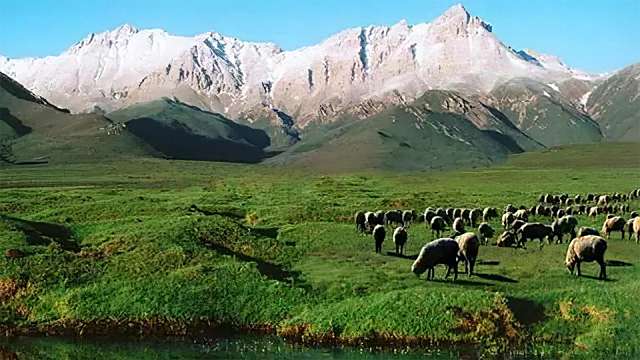 祁連山国立公園_百度百科