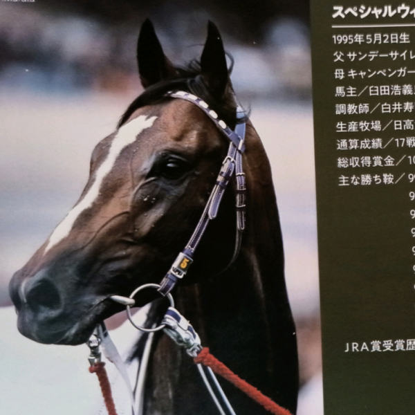 スペシャルウィーク（1995年生まれの日本競走馬）_百度百科