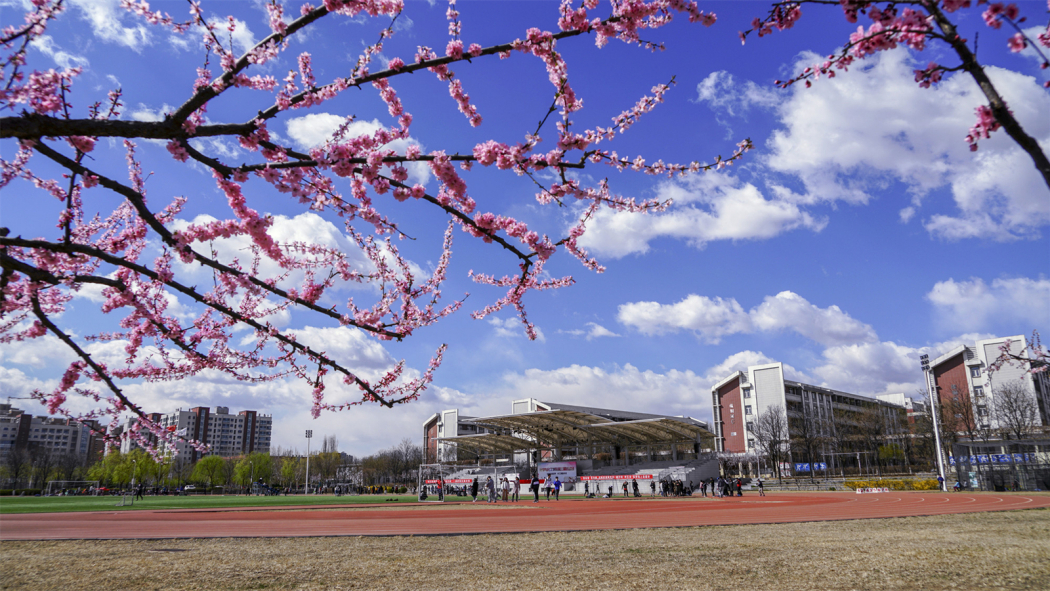 Beijing Institute of Technology（a public university in Beijing, China ...