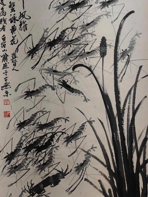 群蝦_百度百科