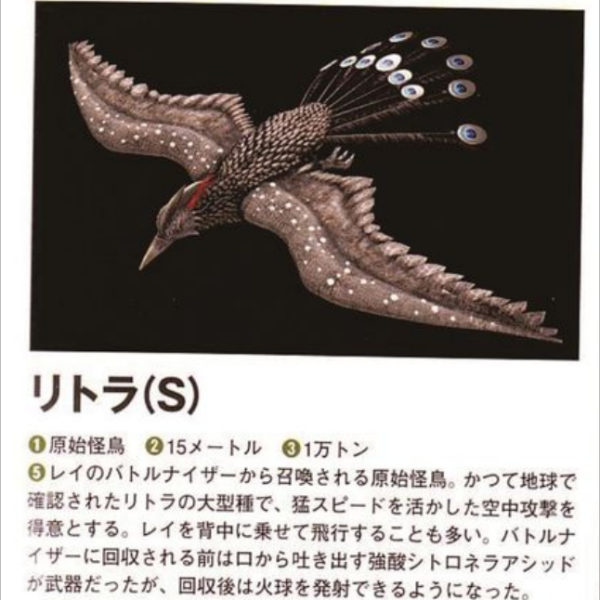 原始怪鳥リトラ_百度百科