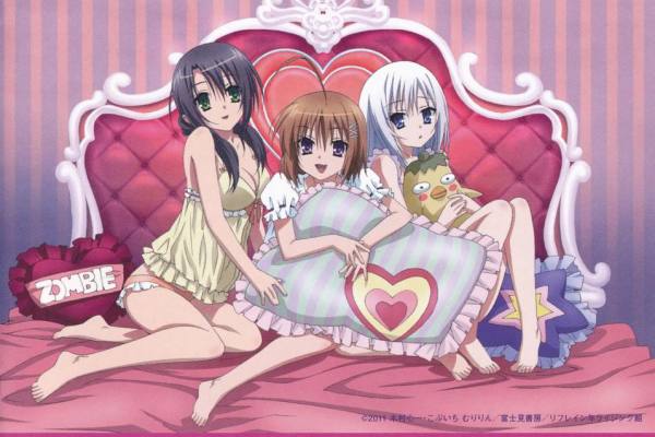 これはゾンビですか？（スタジオディーンによるテレビアニメ）_百度百科