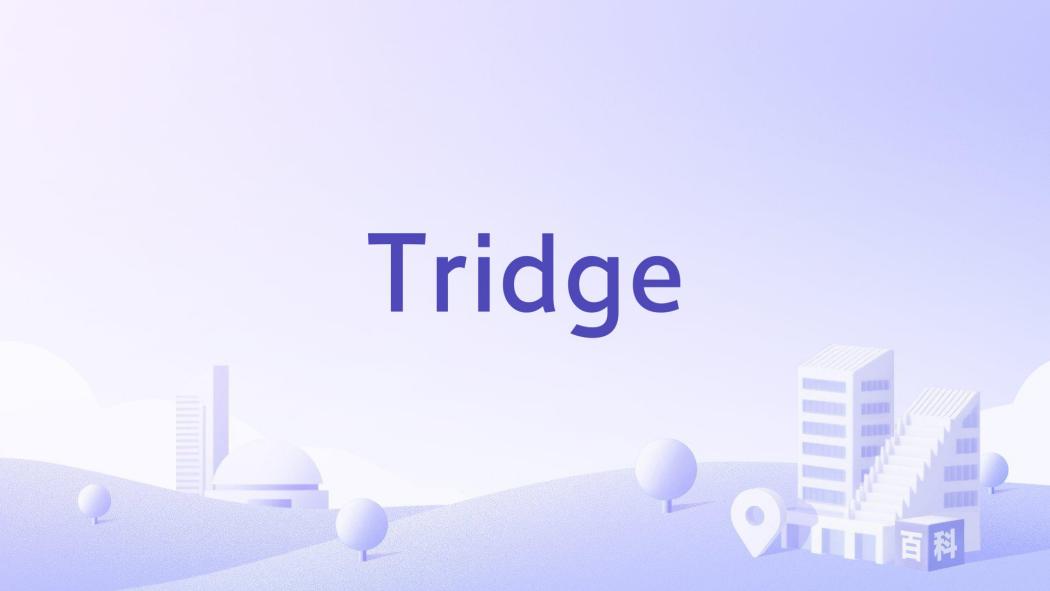 Tridge（Global Food Trade Platform）_Baiduwiki