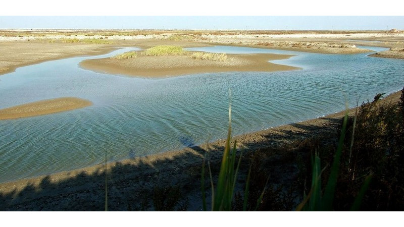 Desembocadura del Río Amarillo_Baidu Enciclopedia