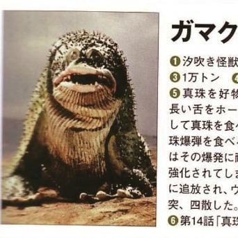 ガマクジラ_百度百科