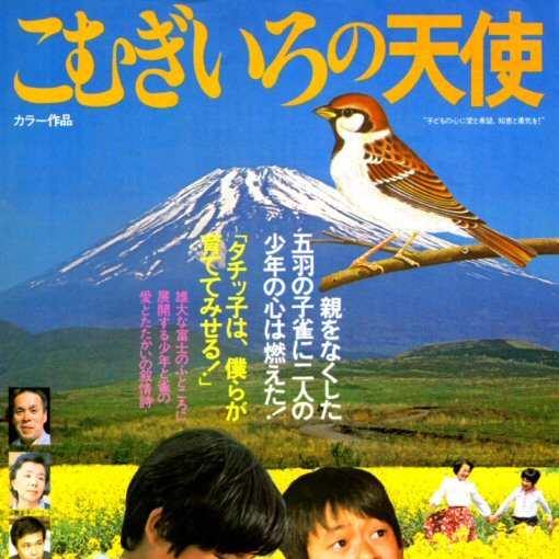 こむぎいろの天使 雀と少年_百度百科