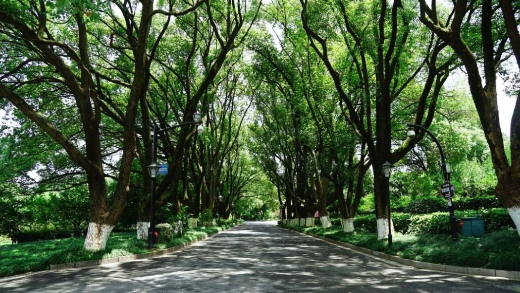 Linping District（A district of Hangzhou City in Zhejiang Province ...