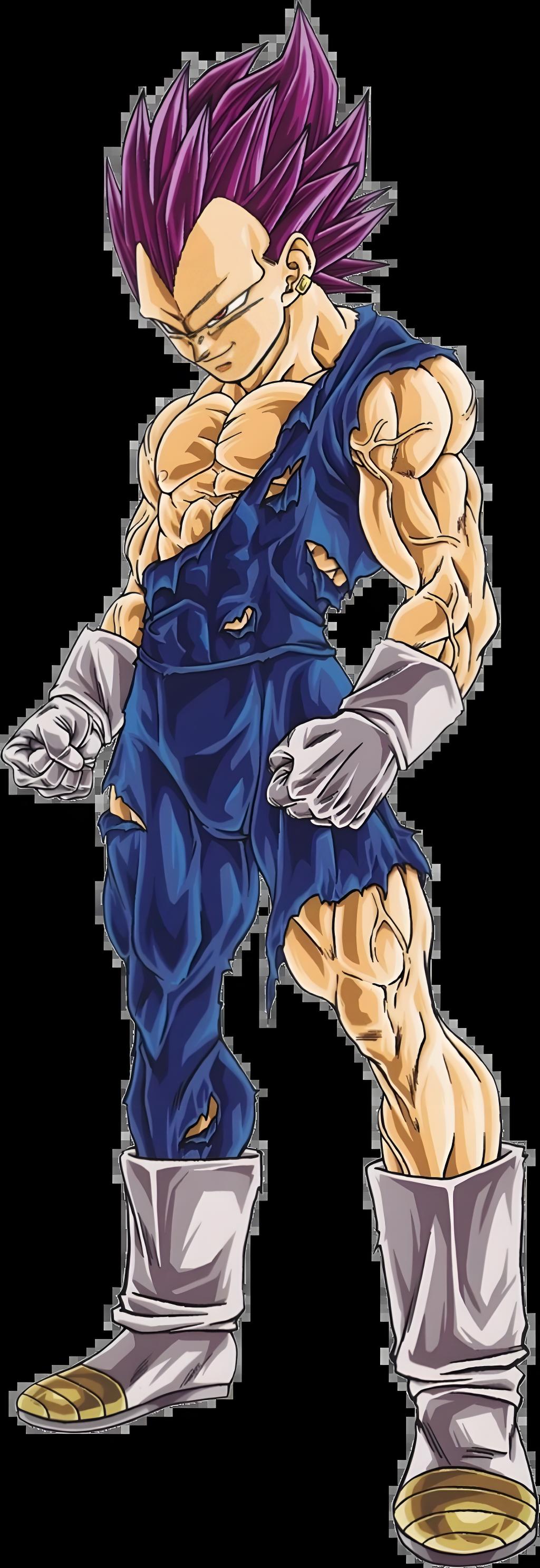 Kong19 ベジータ 我儘の極意ドラゴンボール 我儘の極意_百度百科