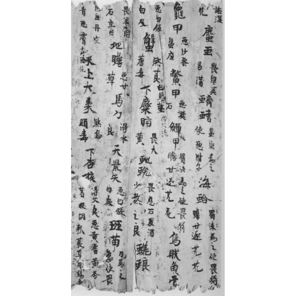 Shennong Bencao Jing_Baiduwiki
