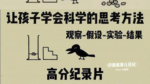 Think Like a Crow!_Baiduwiki