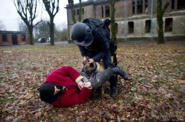 GIGN（A special assault team engaged in counter-terrorism operations ...