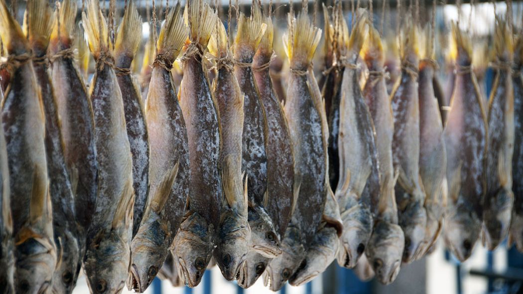 食いしん坊の塩漬け魚 塩漬け魚（塩漬けの魚）_百度百科