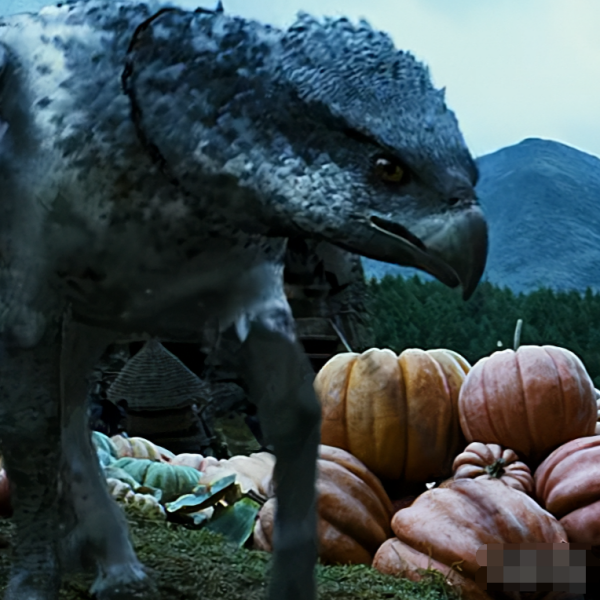 Buckbeak（A magical creature in the Harry Potter series by J.K.