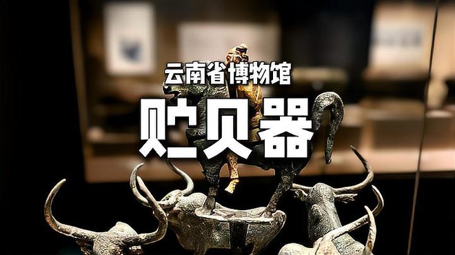 貝貨容器_百度百科