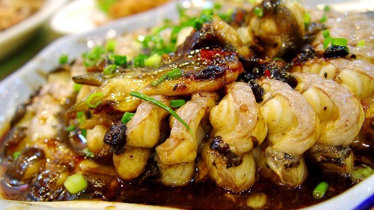food（Basic definition）_Baiduwiki