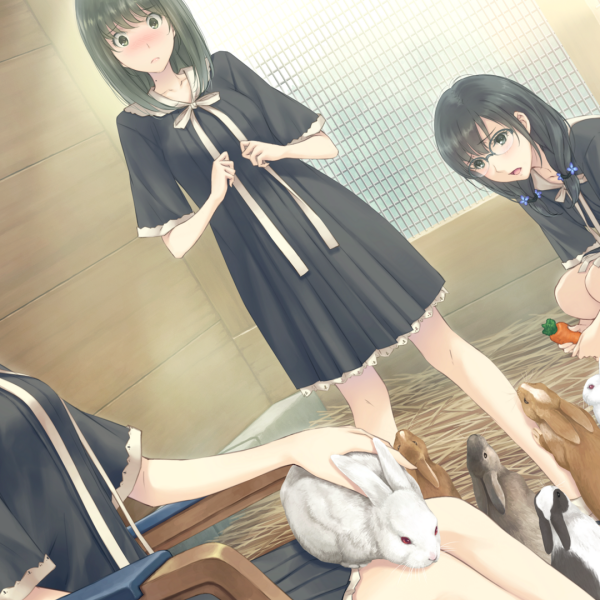 FLOWERS（Innocent greyが制作した百合向けゲームシリーズ）_百度百科