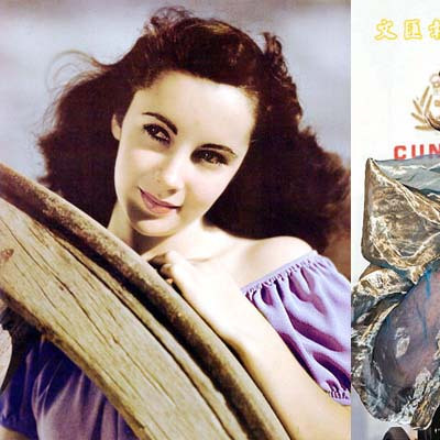 エリザベス・テイラー（アメリカの女優）_百度百科