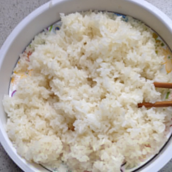 Yogurt Maker Sweet Fermented Rice_Baiduwiki