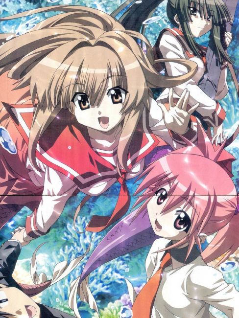 瀬戸の花嫁（日本GONZO×AIC製作のテレビアニメ）_百度百科